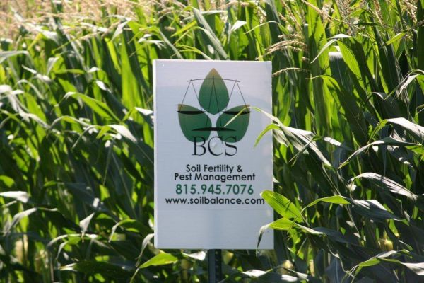 BCS-sign-in-field